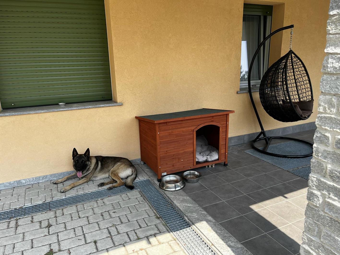 Magicview Baveno Apartment With Garden And Lake View Eksteriør bilde